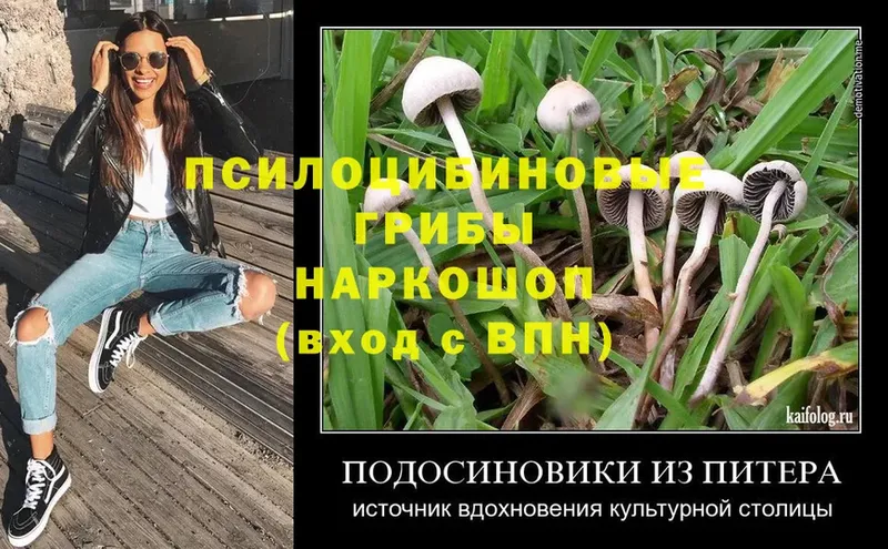 Псилоцибиновые грибы Psilocybine cubensis  shop формула  Набережные Челны 